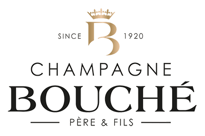 logo-pied-de-page